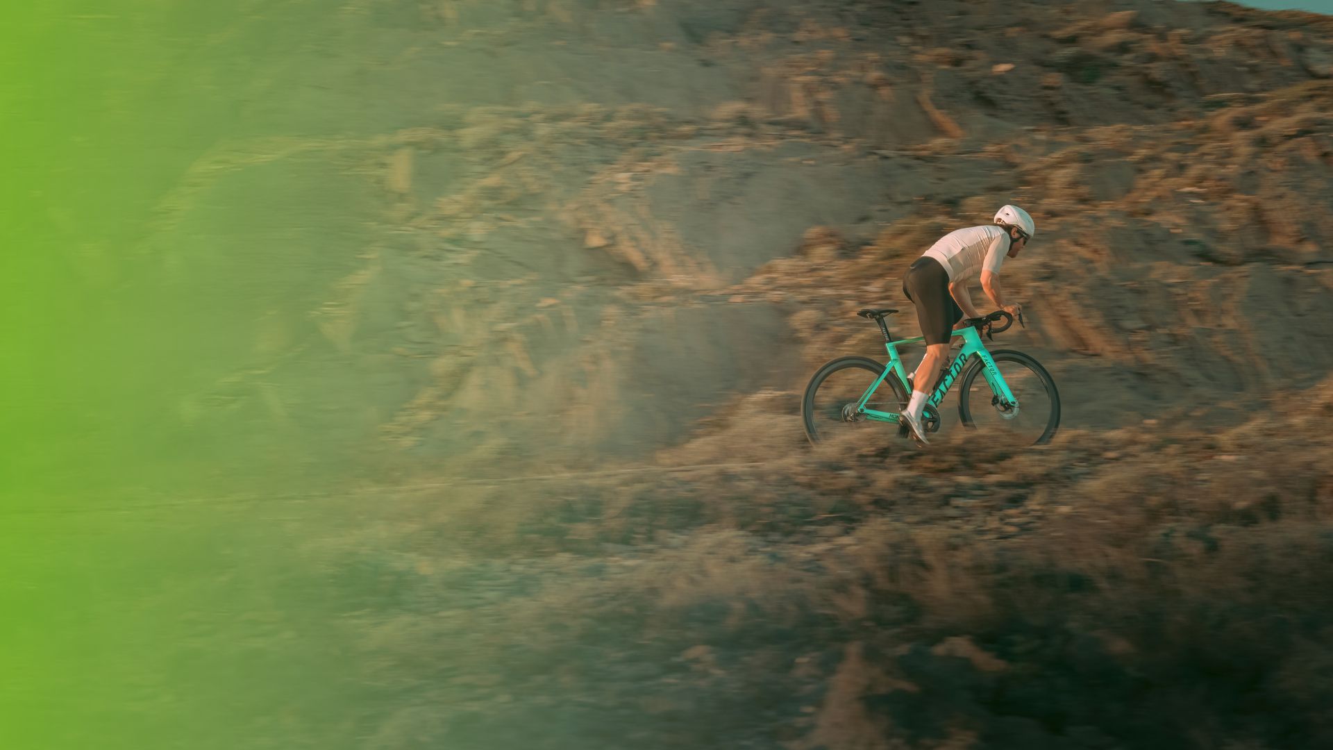 Aerts Action Bike